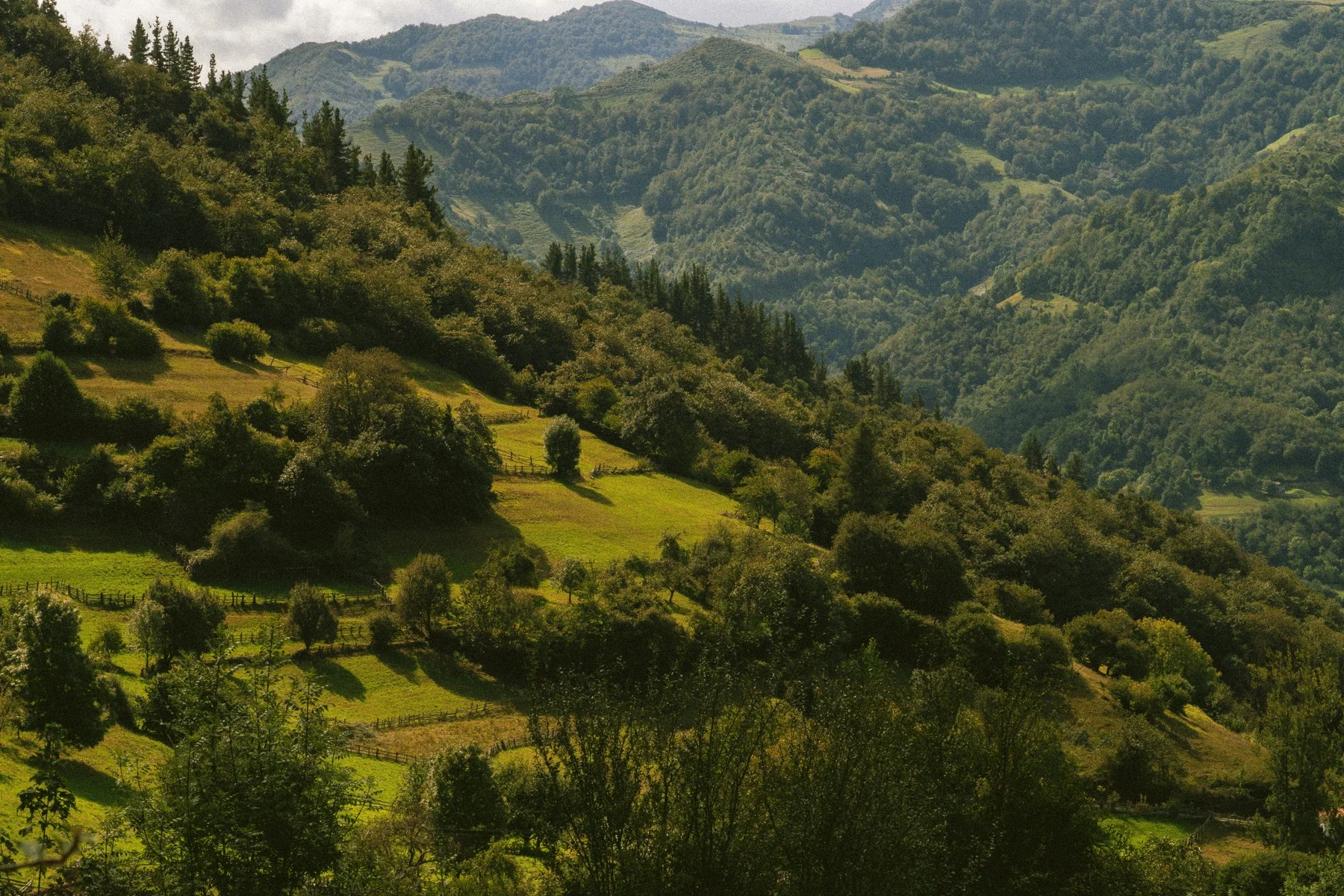 Ruralta — Branding turismo rural