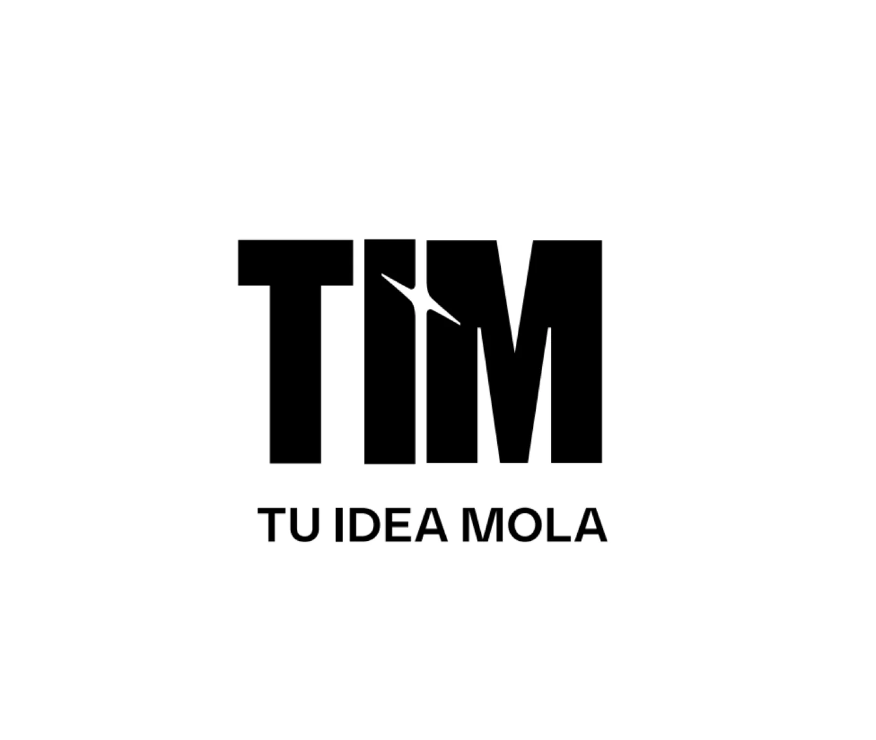 Tu Idea Mola — detalle de tipografía y paleta cromática de marca