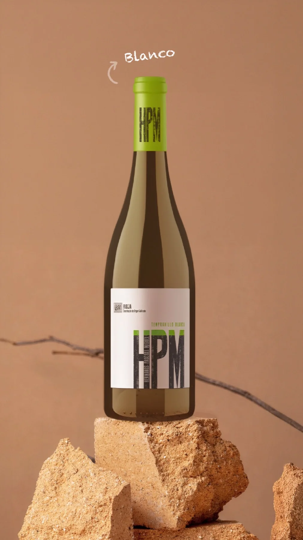 Bodegas Hermanos Pascual Miguel — story de Instagram