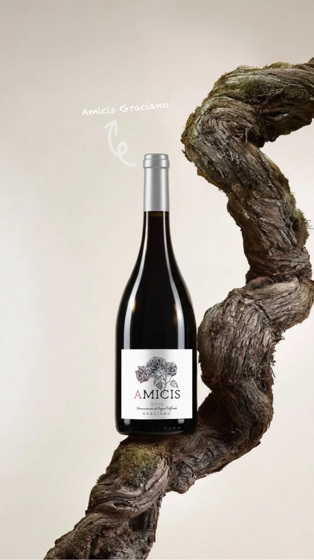 Bodegas Hermanos Pascual Miguel — story de Instagram