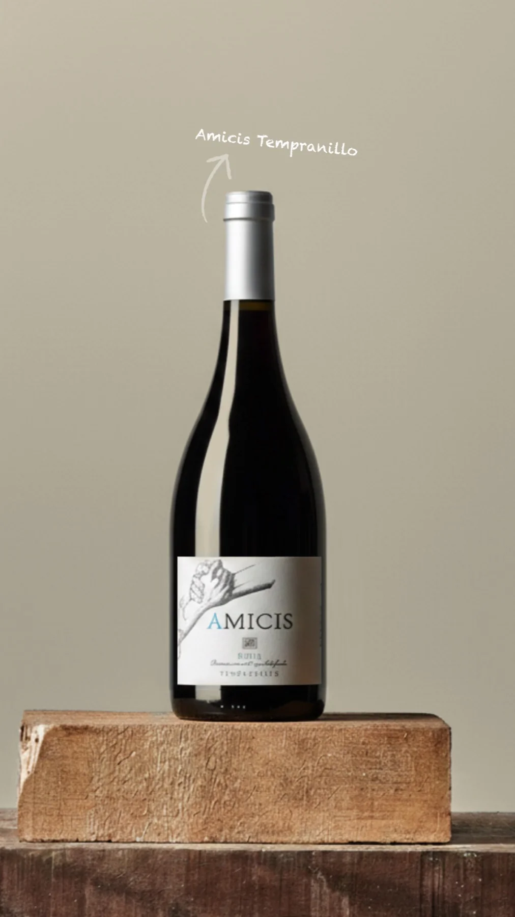 Bodegas Hermanos Pascual Miguel — story de Instagram