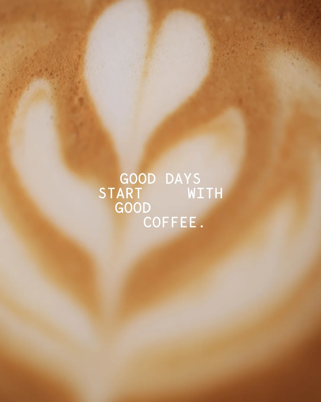 Wolfox Madrid — post de Instagram destacado Coffee